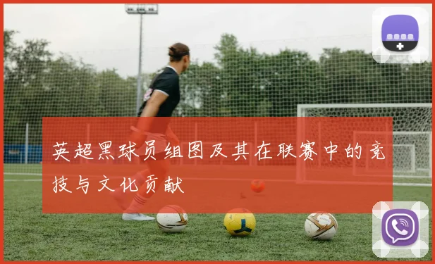 英超黑球员组图及其在联赛中的竞技与文化贡献