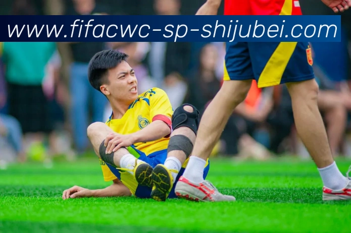 奖项证书