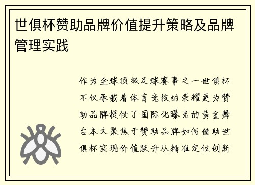 世俱杯赞助品牌价值提升策略及品牌管理实践