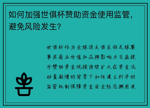 如何加强世俱杯赞助资金使用监管，避免风险发生？