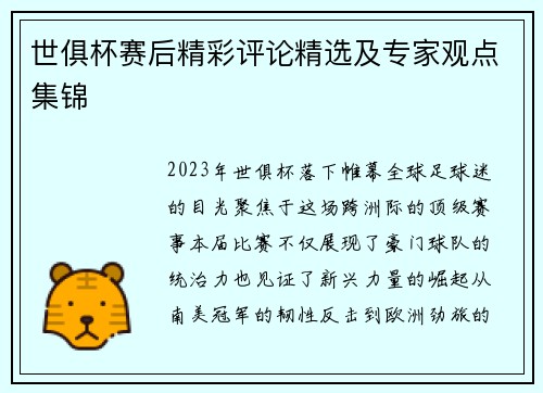 世俱杯赛后精彩评论精选及专家观点集锦